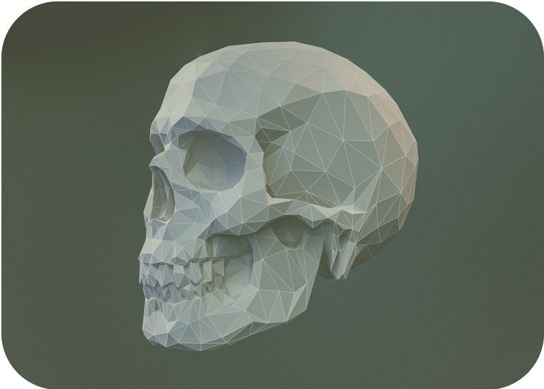 cranio